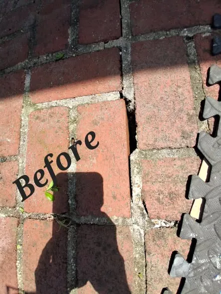 Before photo of a cracked brick paver walkway with weeds in the joints.
